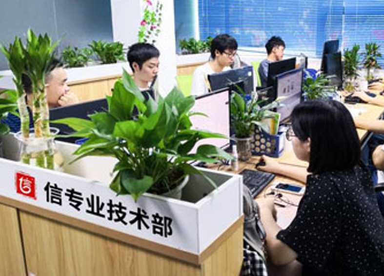 团队实力