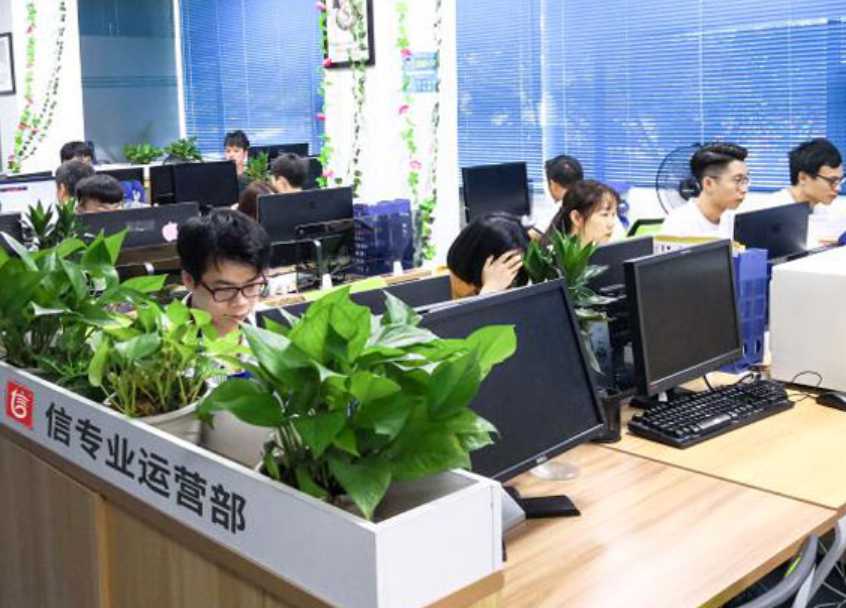 团队实力